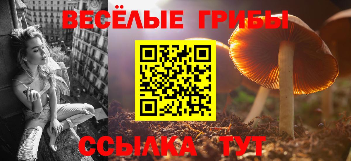 Галлюциногенные грибы GOLDEN TEACHER Мариинск